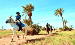 Private Horseback Riding Tour in Marrakech ccxcx