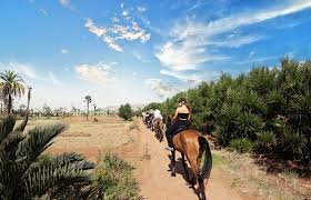 Private Horseback Riding Tour in Marrakech sqcxcxw