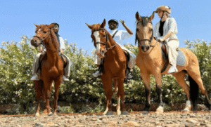 Private Horseback Riding Tour in Marrakech wxcxwcxwc